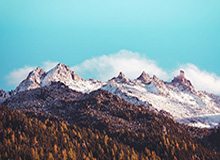 华体会体育官网：你值得信赖的体育娱乐新阵地