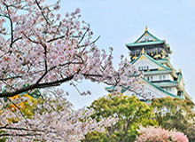 山猫直播体育-恩里克回归斗牛军在即 西足协还曾接触马塞利诺？